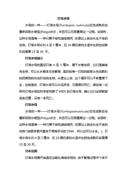 灯塔水母资料大全