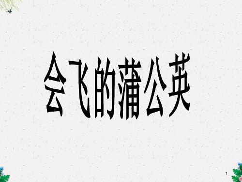 五年级下册语文课件-会飞的蒲公英4