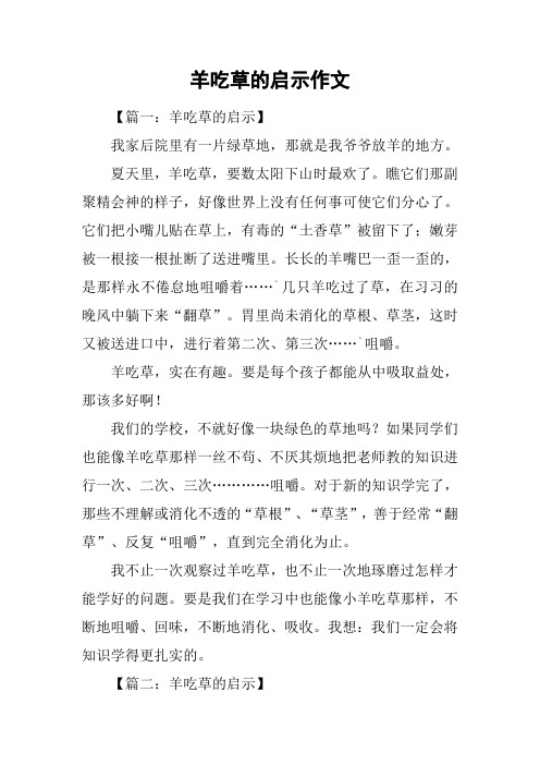 羊吃草的启示作文