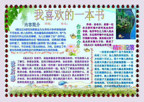 昆虫记读书小报  A4