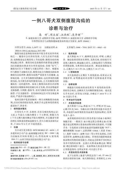 一例八哥犬双侧腹股沟疝的诊断与治疗_高婷