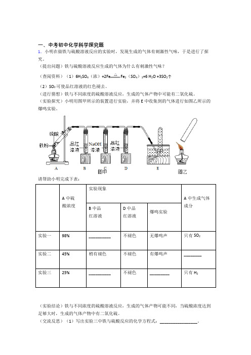 2020-2021中考化学探究题的综合热点考点难点及答案