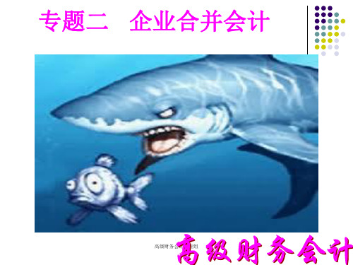 专题二 企业合并