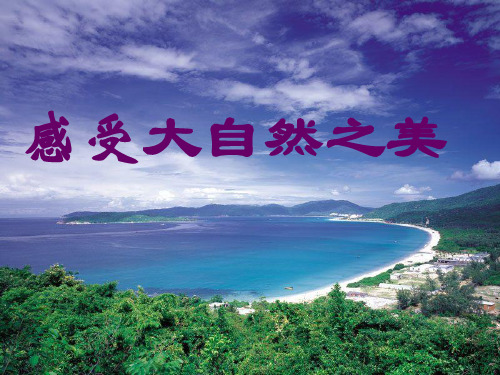 上课 感受大自然之美PPT课件