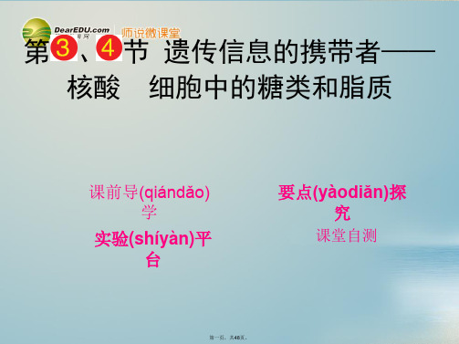 高考生物一轮复习 第二章 第3、4节 遗传信息的携带者核酸细胞中的糖类和脂质课件 新人教版必修2 
