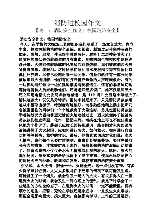 学校作文之消防进校园作文
