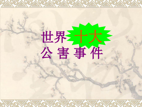 全球十大公害事件