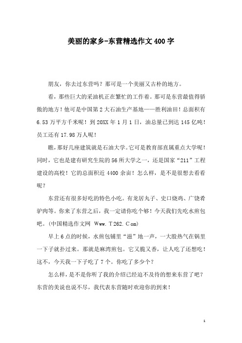 美丽的家乡-东营精选作文400字