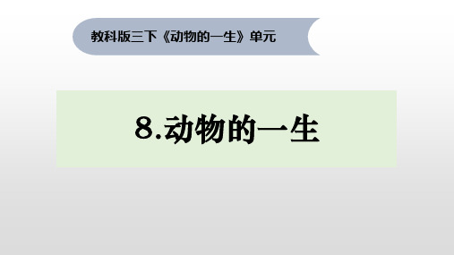 三年级下册科学课件-2《动物的一生》 教科版(共17张PPT)