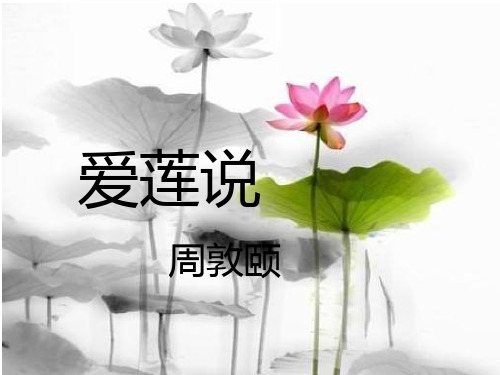 部编优质课一等奖初中语文七年级下册《爱莲说》