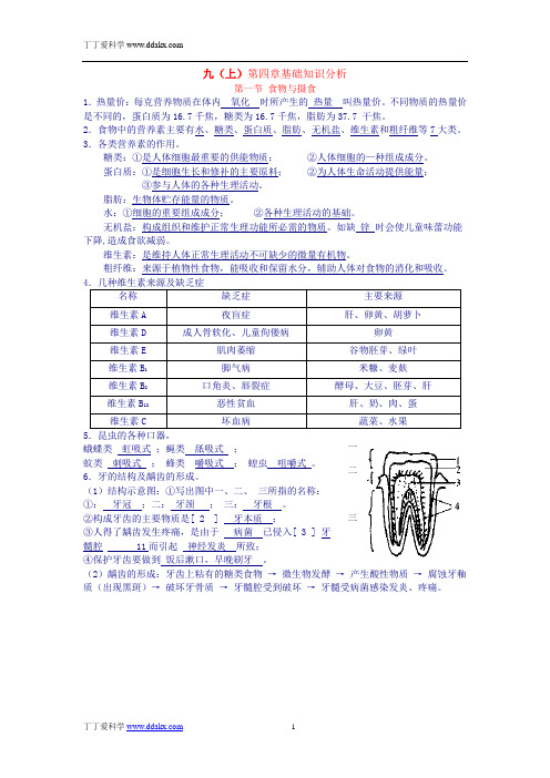 科学(浙教版)九上第四章复习提纲