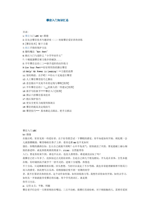 攀岩入门知识汇总