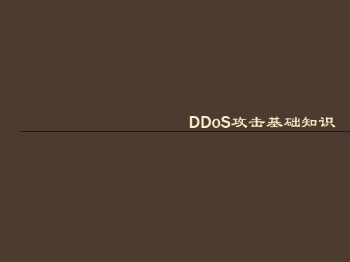 DDoS攻击介绍PPT