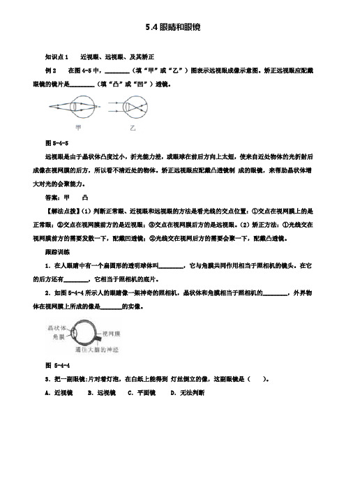 八年级物理上册5.4眼睛和眼镜考点训练(含解析)