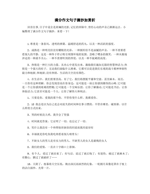 满分作文句子摘抄加赏析
