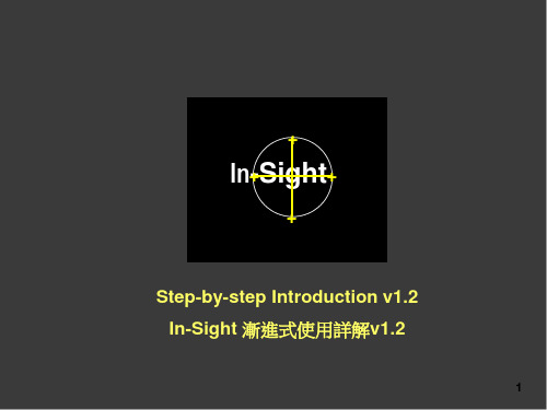 中文-In-Sight-使用详解-(全)PPT课件