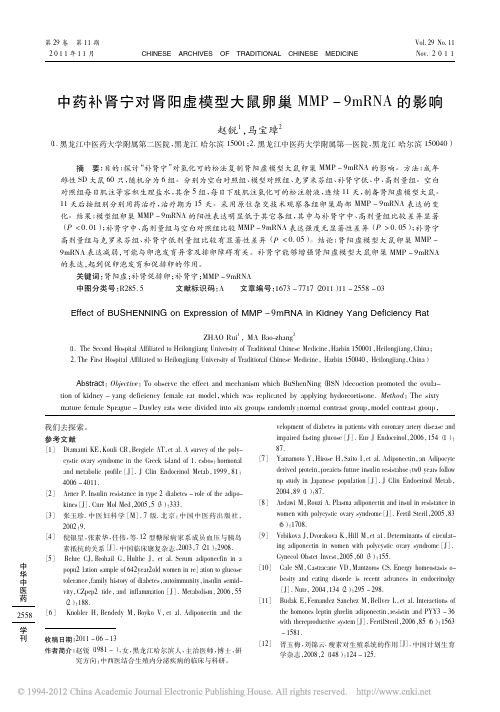 中药补肾宁对肾阳虚模型大鼠卵巢MMP_9mRNA的影响_赵锐