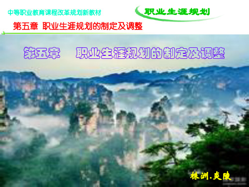 职业生涯规划第五章  职业生涯规划的制定及调整