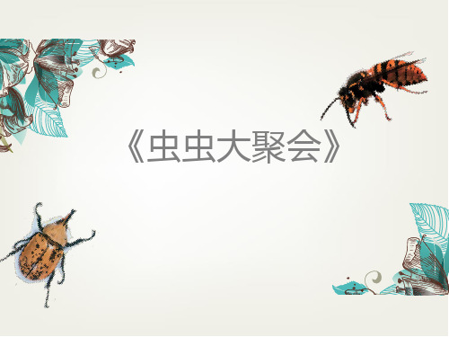 四年级下册美术说课课件-17《虫虫大聚会》 浙美版