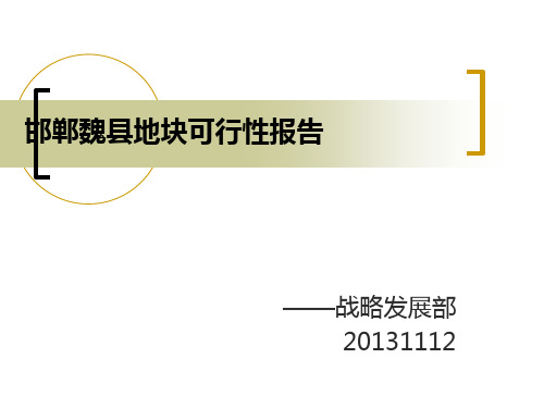 邯郸魏县地块地产开发可行性研究报告 