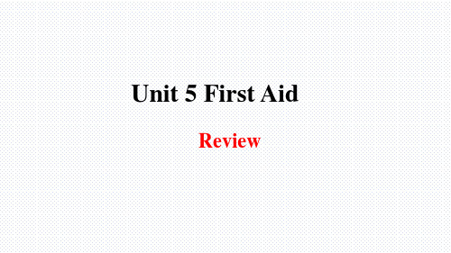 【课件】Unit 5  Review the whole unit 课件 人教版选择性必修第二册