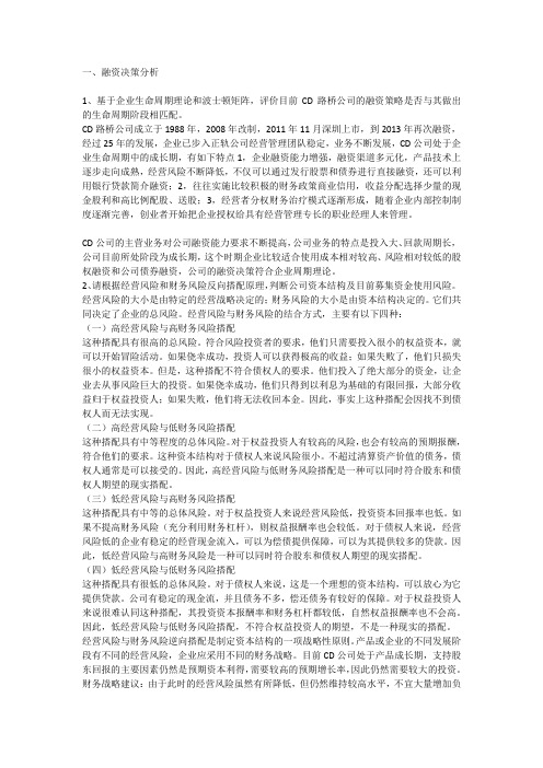 融资决策分析范例