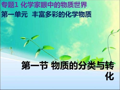 01专题1 化学家眼中的物质世界 第一单元 丰富多彩的化学物质