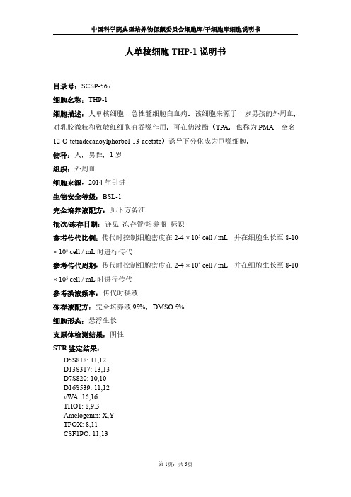 人单核细胞THP-1说明书