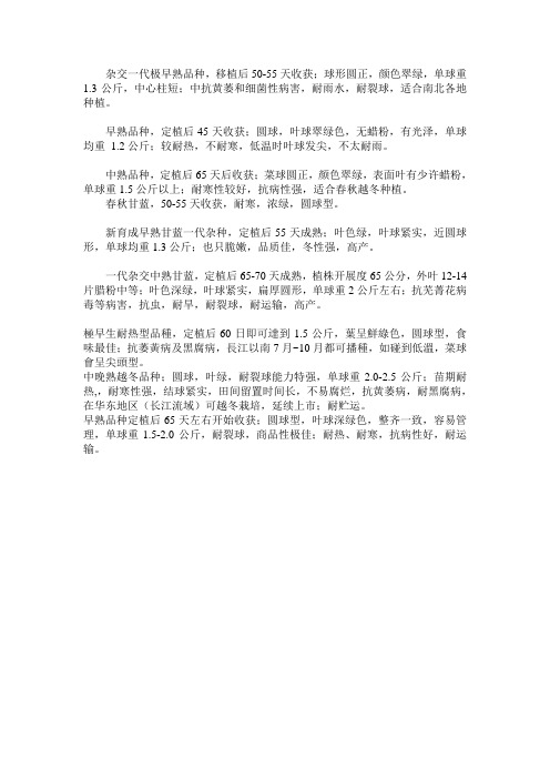 甘蓝品种