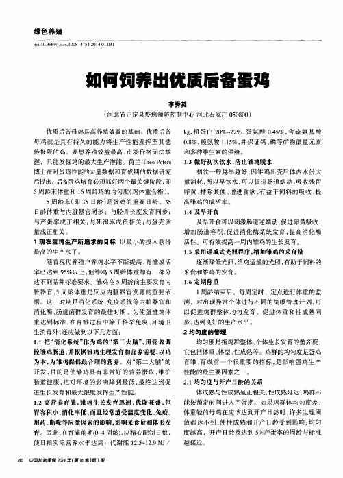 如何饲养出优质后备蛋鸡