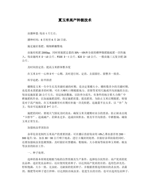 夏玉米高产种植技术