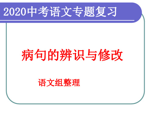 复习专题：修改病句