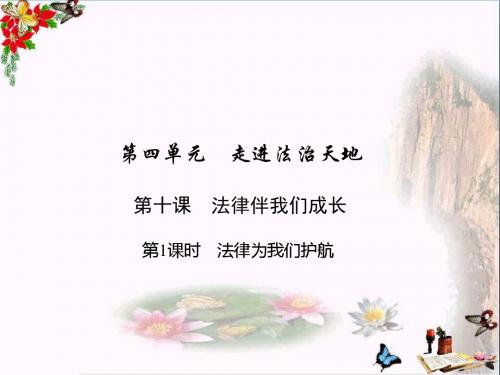法律为我们护航ppt优秀课件2 人教版