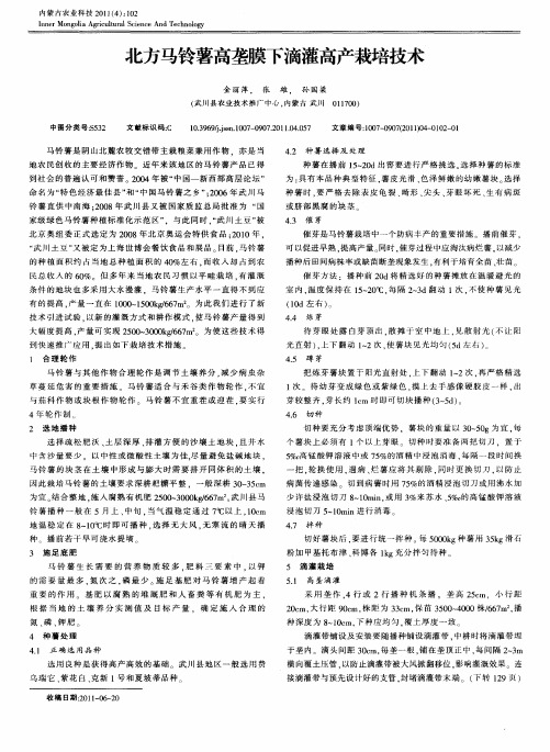 北方马铃薯高垄膜下滴灌高产栽培技术