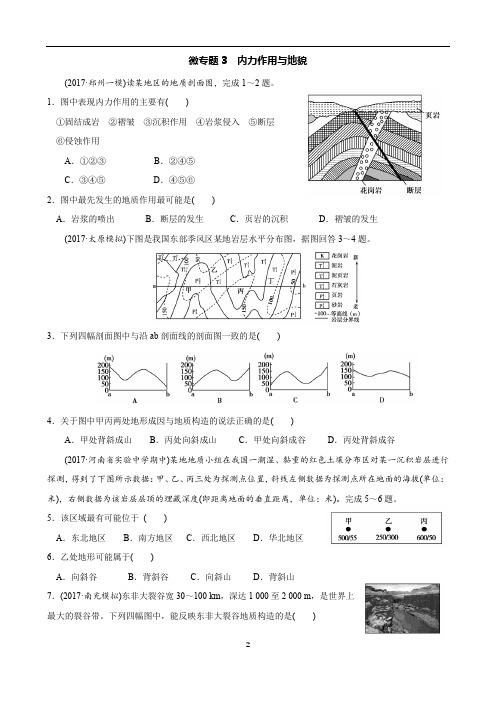 2020年高考地理微专题3 内力作用与地貌