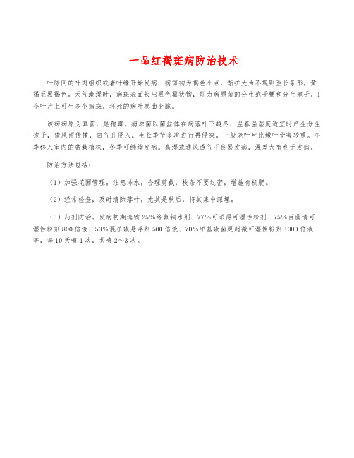 一品红褐斑病防治技术