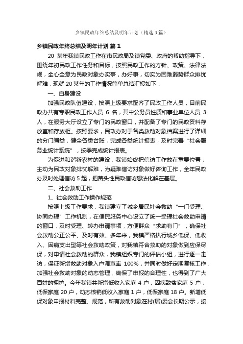 乡镇民政年终总结及明年计划（精选3篇）