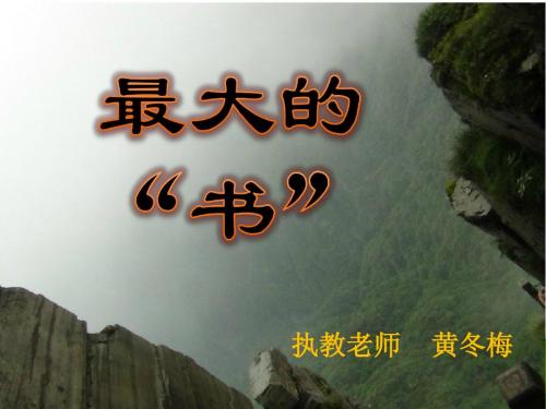 二年级语文下册19课《最大的书》ppt