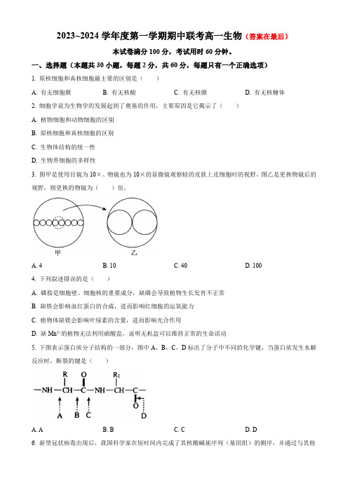 天津市2023-2024学年高一上学期期中联考试题 生物含解析