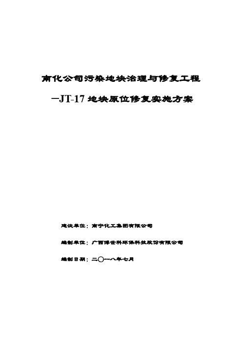 南化公司污染地块治理与修复工程JT-17地块原位修复实施方案