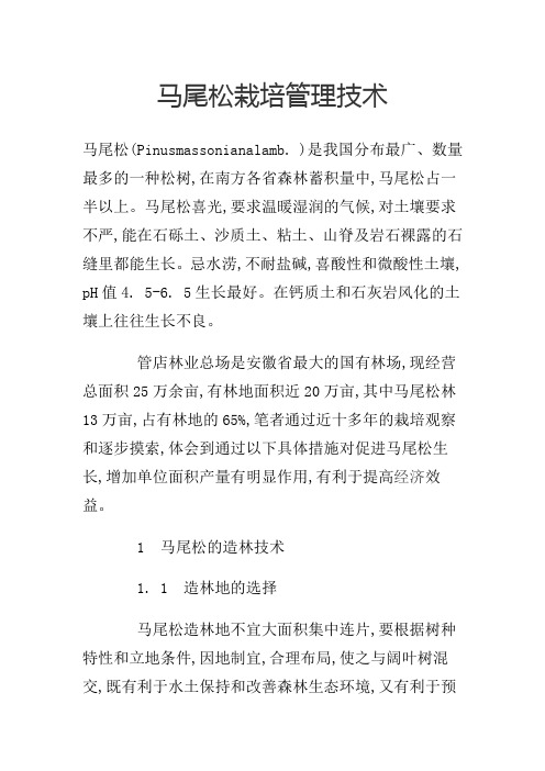 马尾松栽培管理技术