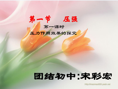 物理人教版八年级下册压力作用效果的探究