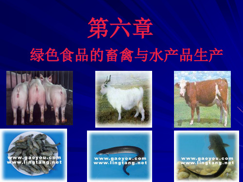 第六章绿色食品的畜禽与水产生产-食品伙伴网(原食品伴侣网