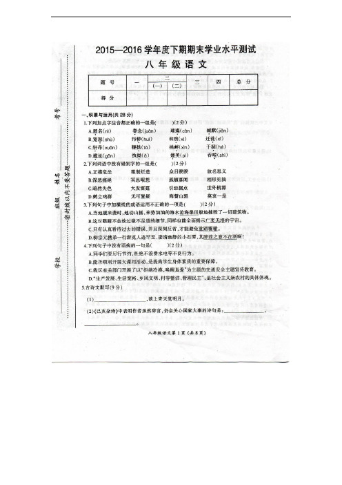 河南省召陵区2015-2016学年八年级下学期期末考试语文试题(图片版)