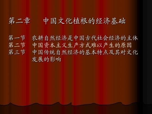 第2章   中国文化植根的经济基础