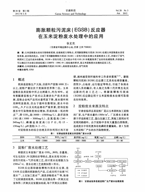 膨胀颗粒污泥床(EGSB)反应器在玉米淀粉废水处理中的应用