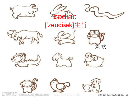 zodiac 十二生肖