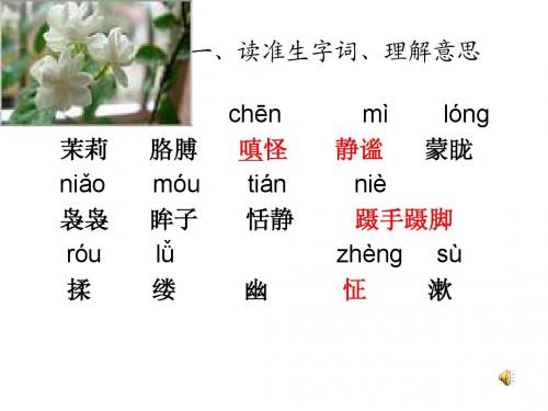 苏教版《爱如茉莉》ppt课件
