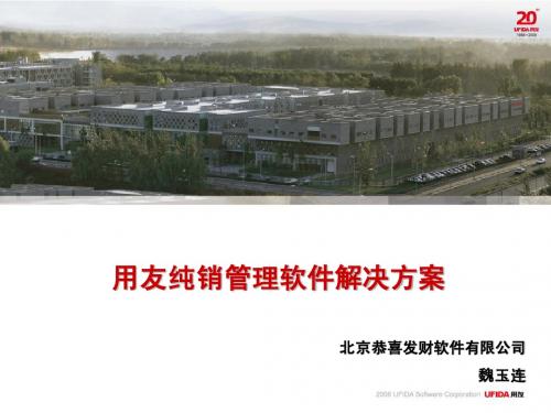 用友纯销管理介绍