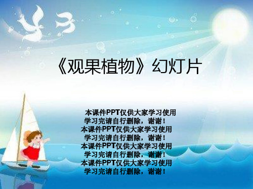 《观果植物》幻灯片